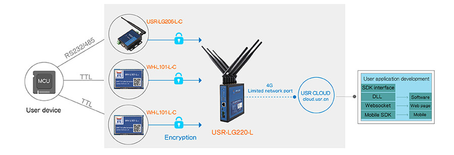 4G Limited network port-LoRa Gateway