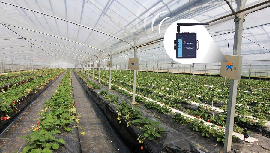 Applications Smart Agriculture, Serial to WIFI and Ethernet Converter-USR-W630