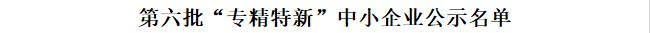 list of sixth bath of specialized, fined, peculiar and new small and medium-size enterprises