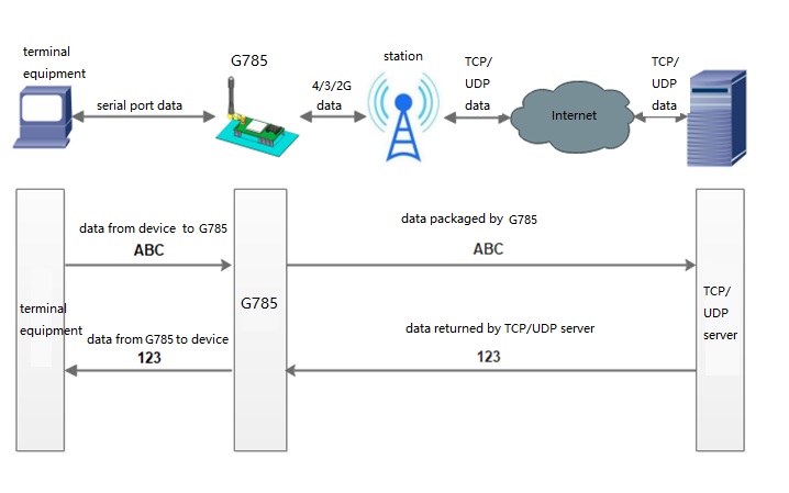 net transparent transmission mode